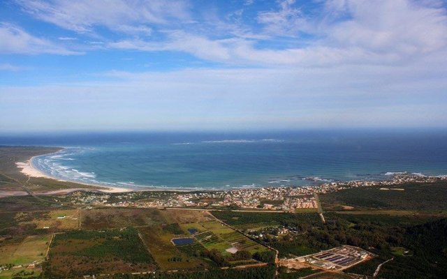 Franskraal aan die soom van Branderbaai - Johann Kotze